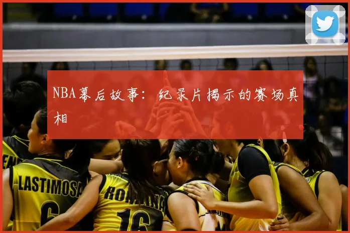 NBA幕后故事：纪录片揭示的赛场真相