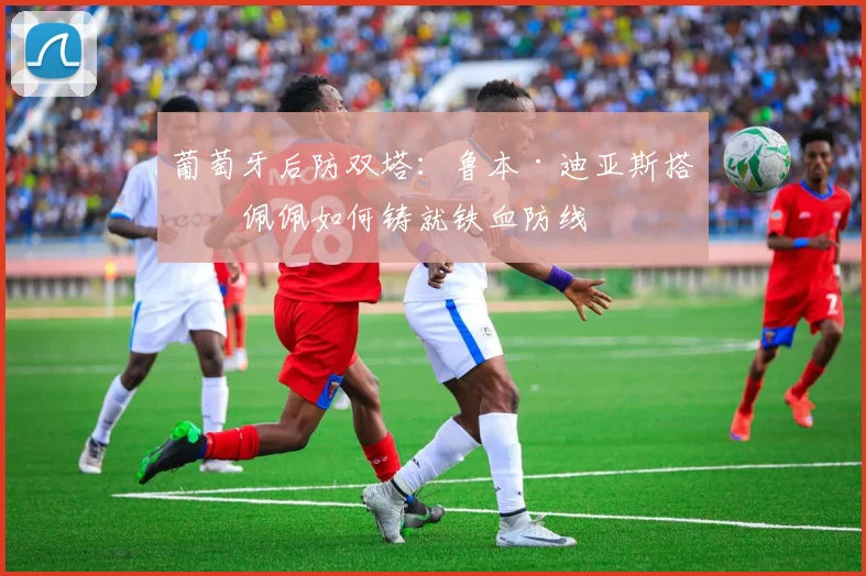 葡萄牙后防双塔：鲁本·迪亚斯搭档佩佩如何铸就铁血防线